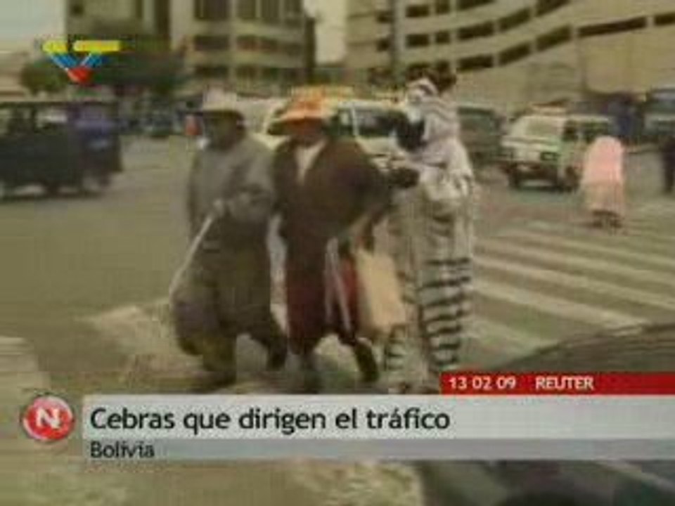 Bolivia: `Cebras` que dirigen el tráfico