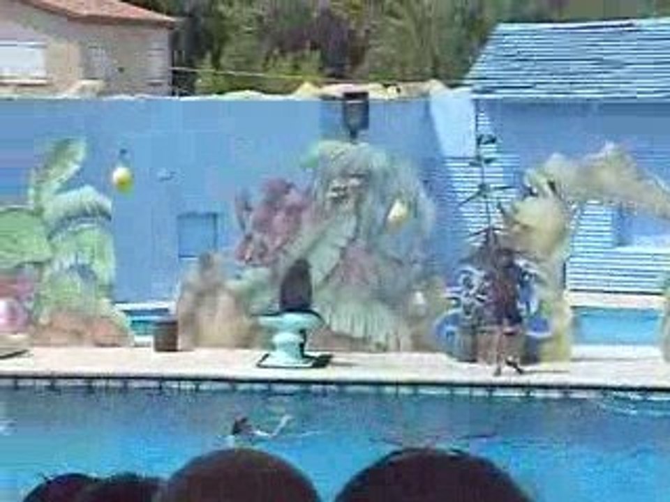Spectacle otarie Marineland =D
