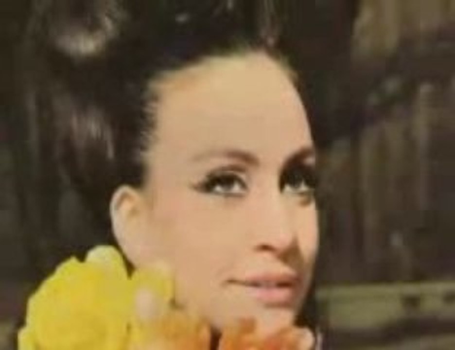 Cherry Navarro - Su Biografía