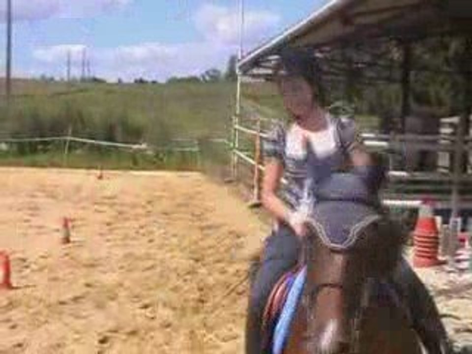 horse comics
