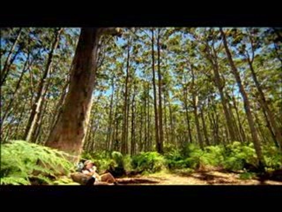 Margaret River Surf Town, Food & Wine Western Australia