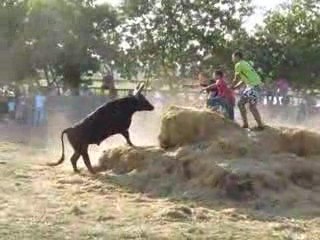 encierro mousse chez robert h le 01.08.09