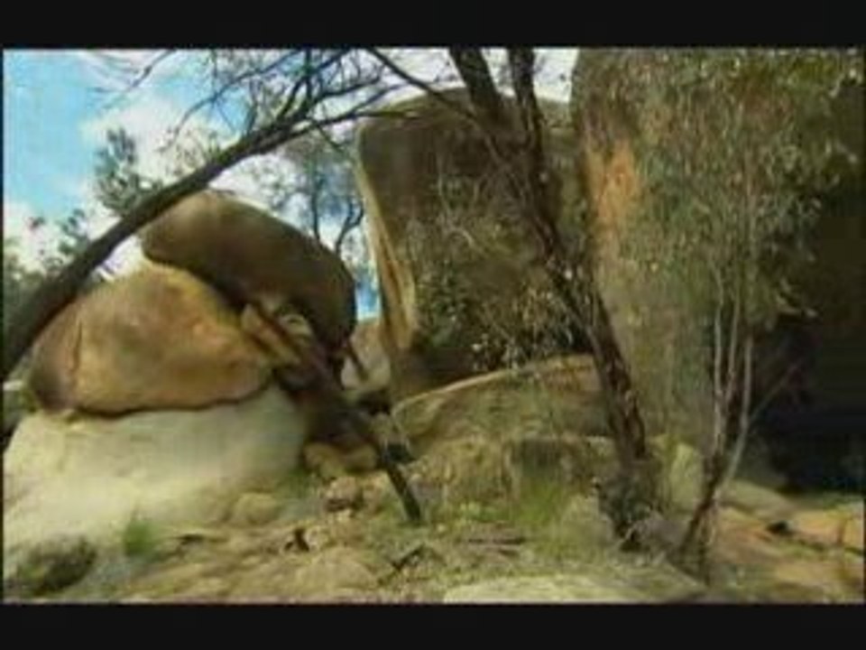 Wave Rock - Holiday Postcards from Western Australia