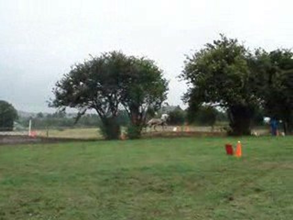 Fête du cheval à Tavigny le 2 août 2009