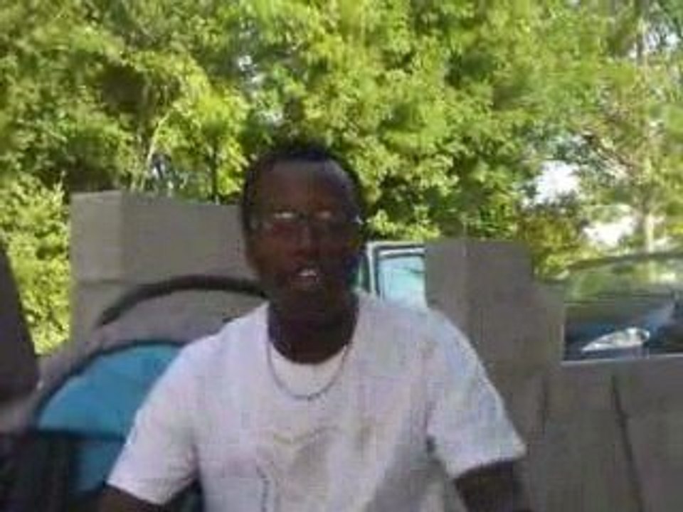 full bugs escro 33 54