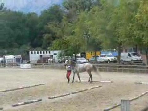 Trotting arrivée première boucle Saint Ismier