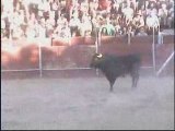 Tarde de Toros (3ª Parte) en Abertura (Cáceres)