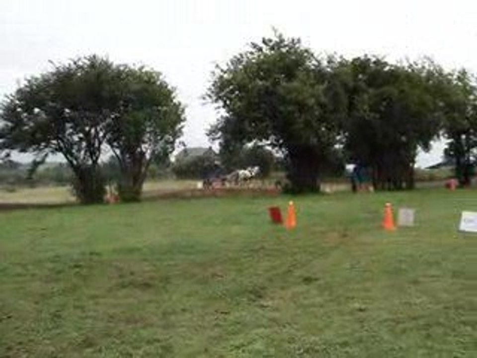 Fête du cheval Tavigny le 2 août 2009