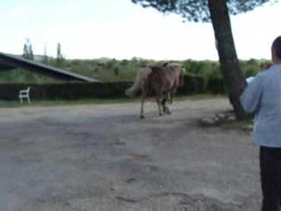 allez on va rentrer !