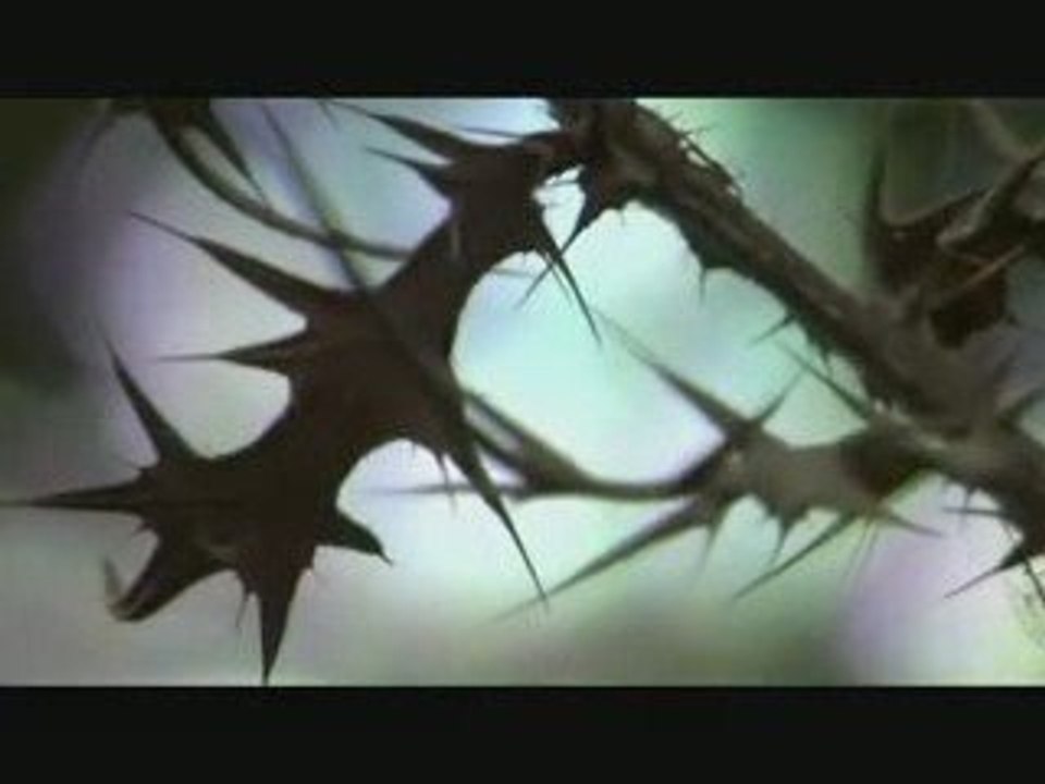 Koop - Island Blues