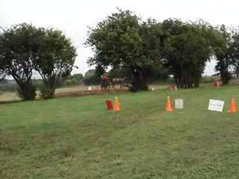 Fête du cheval à Tavigny le 2 août 2009