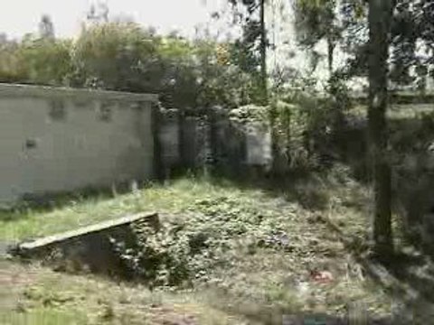 Cancer cerveau antennes relais