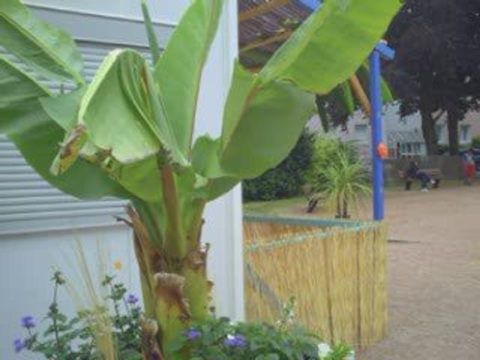 EN ATTENDANT LOUISE de Jomusic