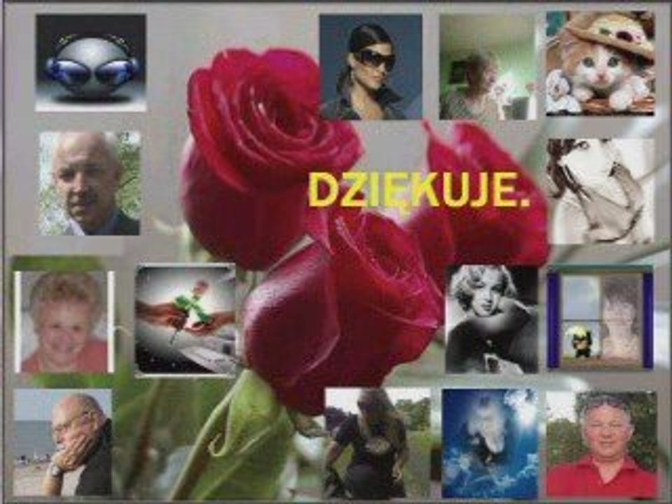 Dziękuje.