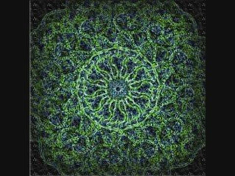 Salvia Divinorum Guidelines in Safety and Intelligent Usage