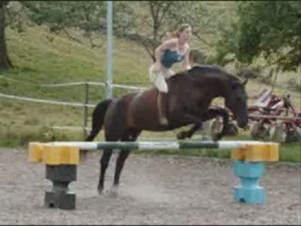 Zora, saut en liberté, à cheval