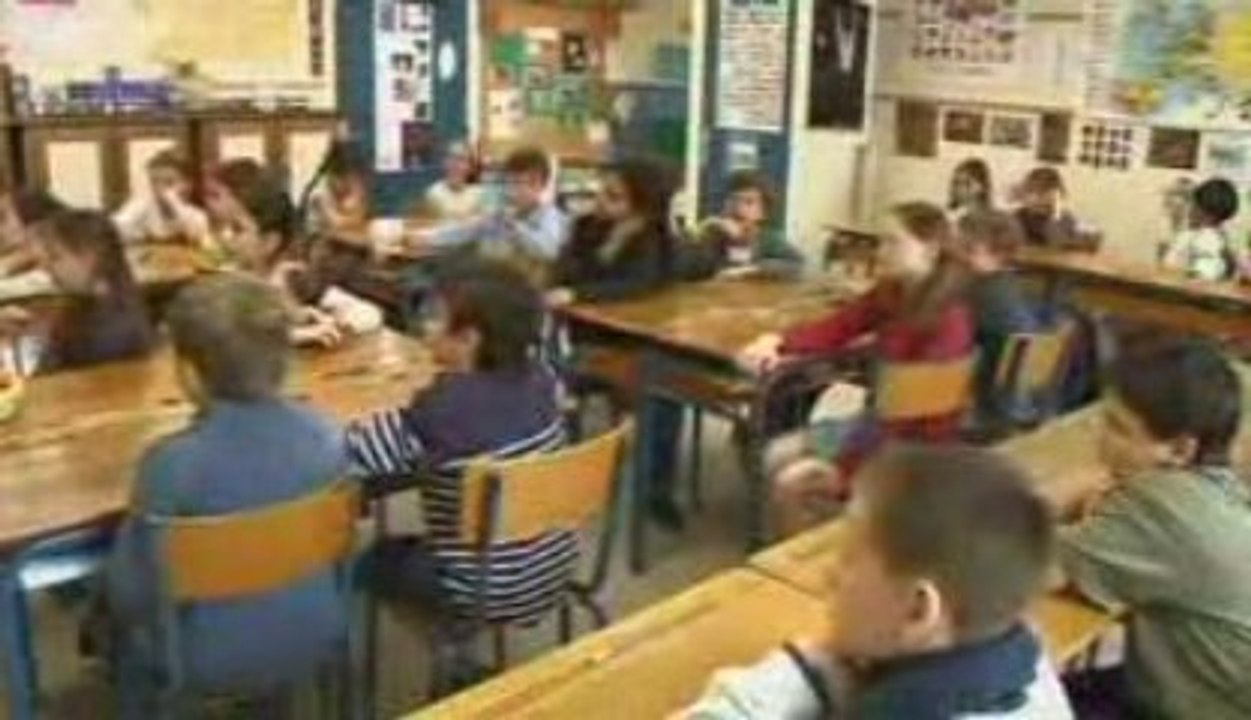 Taste classes, the 5 senses