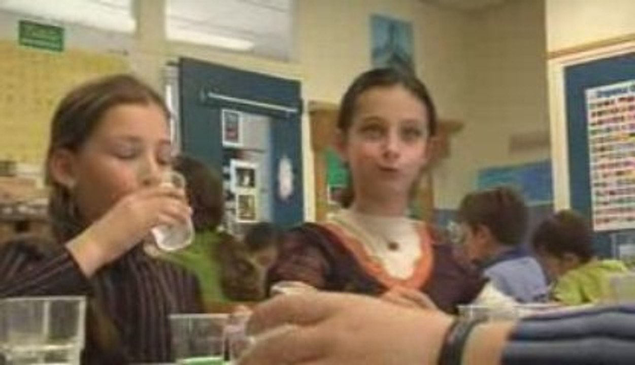 Taste classes fight obesity