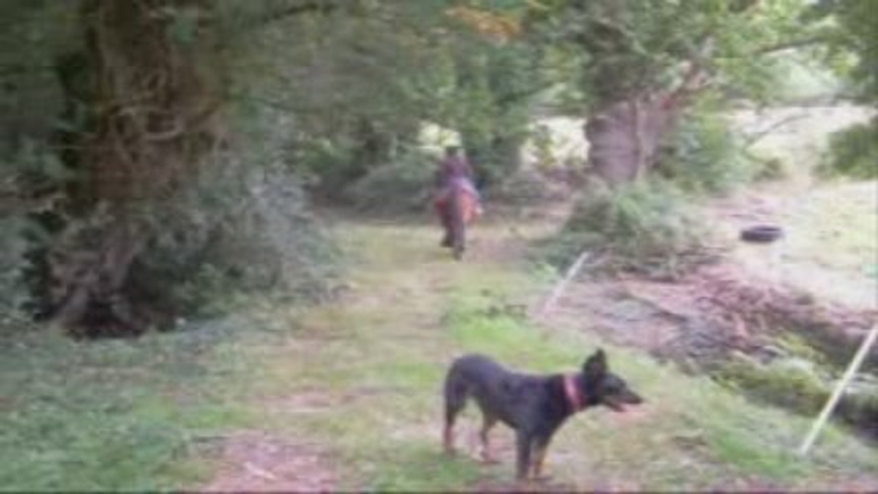 Ma cavaliére et moi