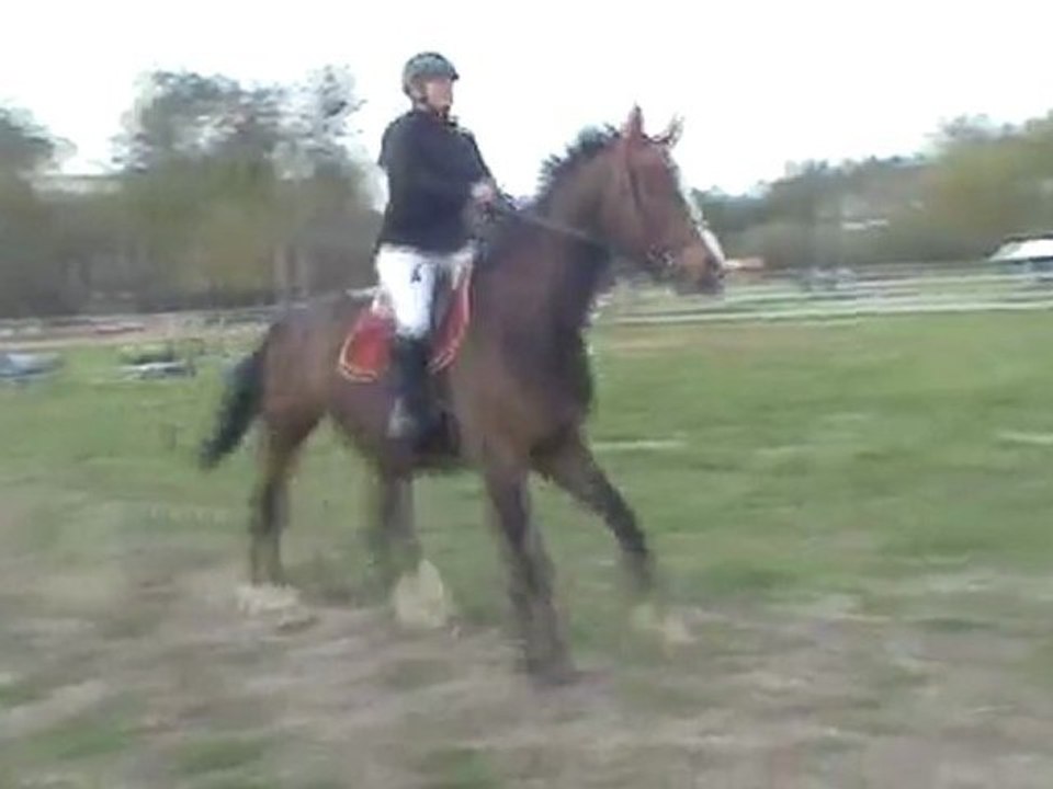 19 Avril 2009 7. épreuve à 105cm bis