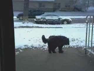 Ouzo Feldman's Constipation Blues