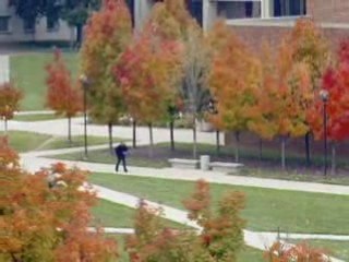 Alex's Story - Tales form a Teacher's Heart