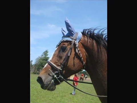 28 Juin 2009 CSO Tartas Amateur 1.10m Vanessa