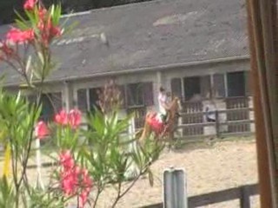 stage nicolas sanson liberty(1)