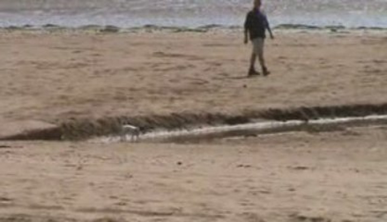 video 20
