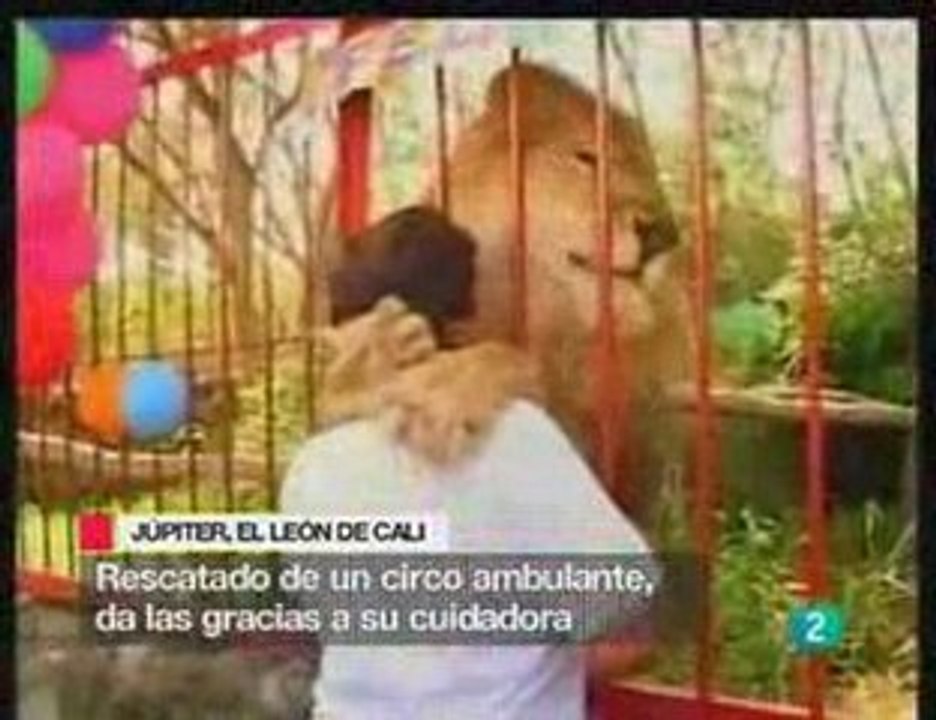 León, el profesional