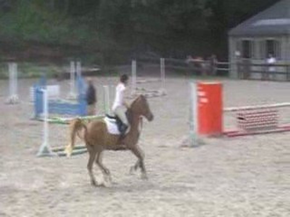 stage nicolas sanson liberty (4)