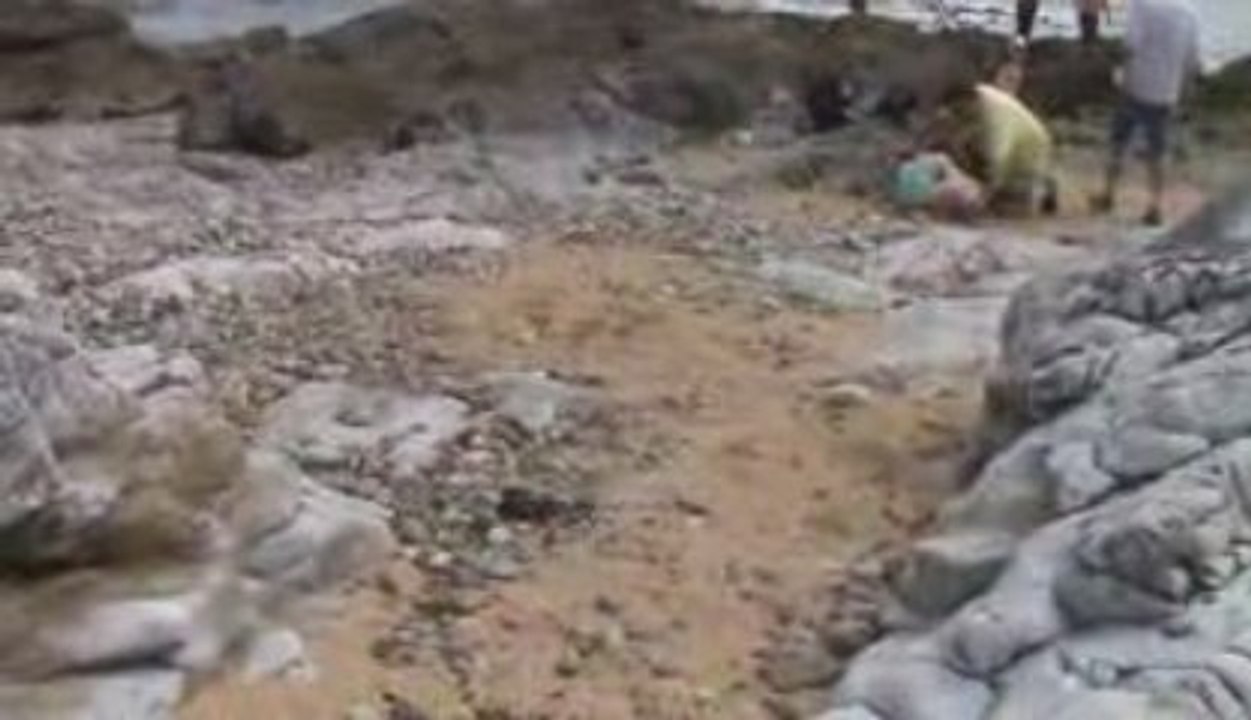 video 21