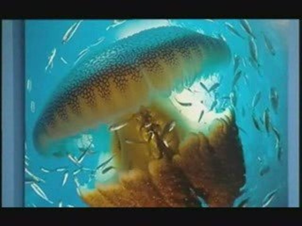 mundo submarino_xvid