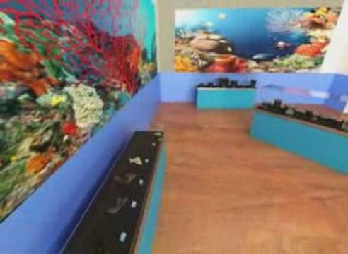 Architectural Visualisation