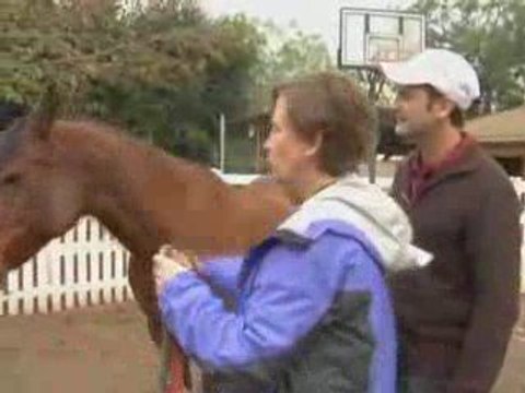 CHY - Equine Assisted Learning