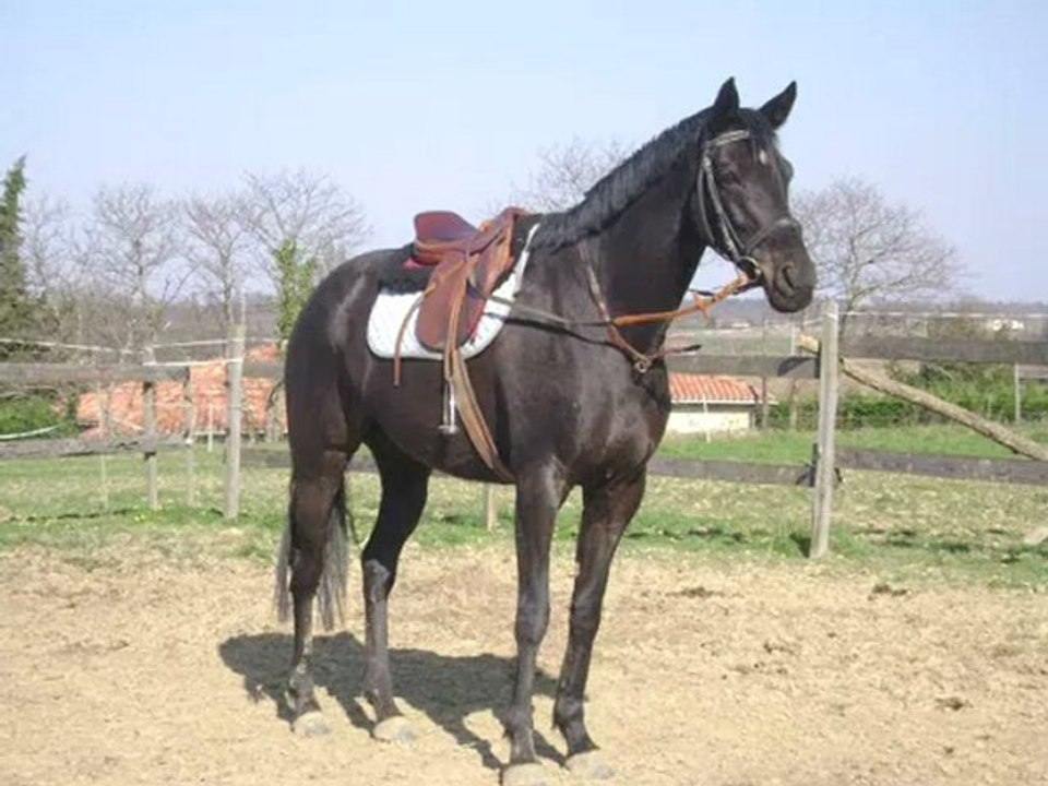 Rose la vie en musique