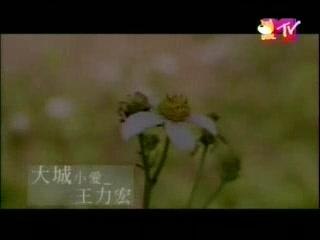 Big City Small Love MV