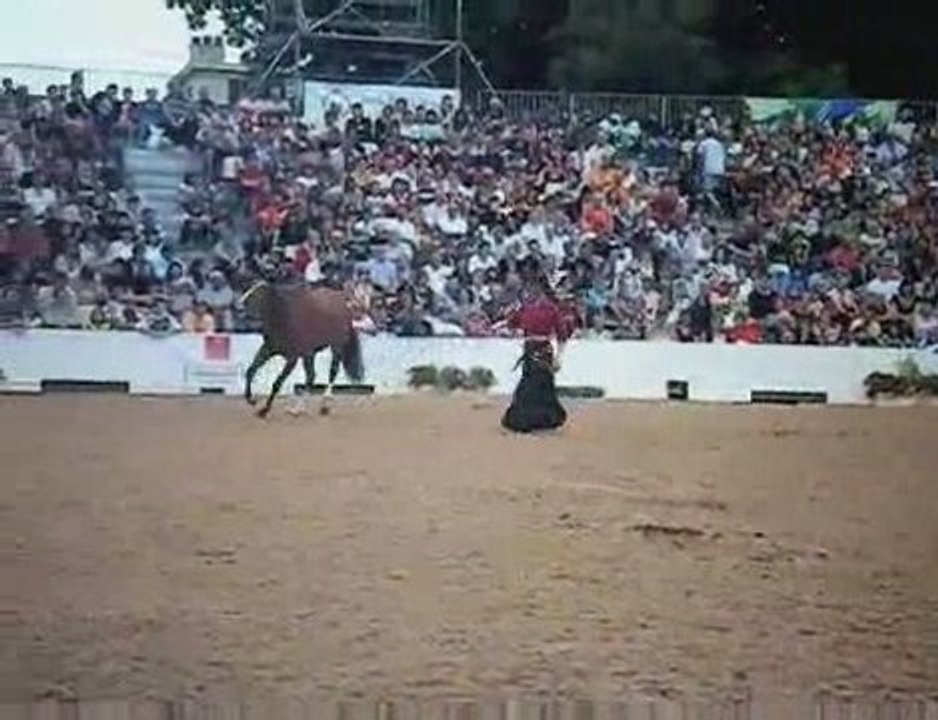 Tarbes festival Equestria dimanche 2 août piste ouverte