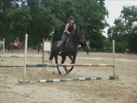 obstacle galop 5