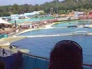 Spectacle des Orques .