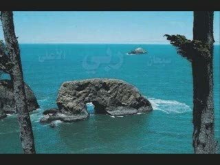 Découverte : La place de l'homme dans l'univers avec le Professeur Hani Ramadan 🌌