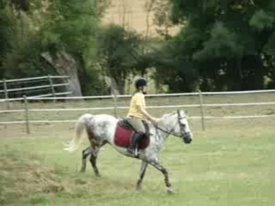 Lady D'Auvergne et Moi