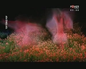 Nil Karaibrahimgil - Akbaba (www.ineboluda.com)