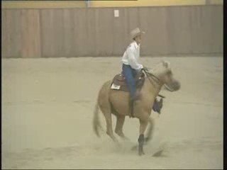 Western i Rodeo Jeździeckie Mistrzostwa Polski
