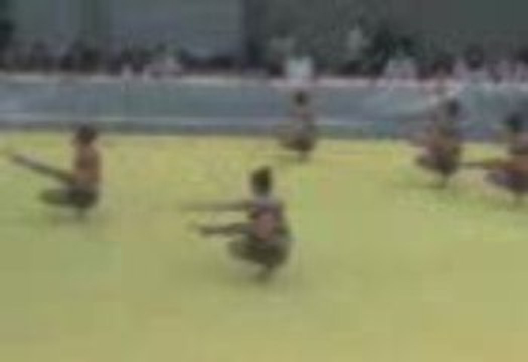 MOV00011