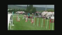 lezigan agility dimanche