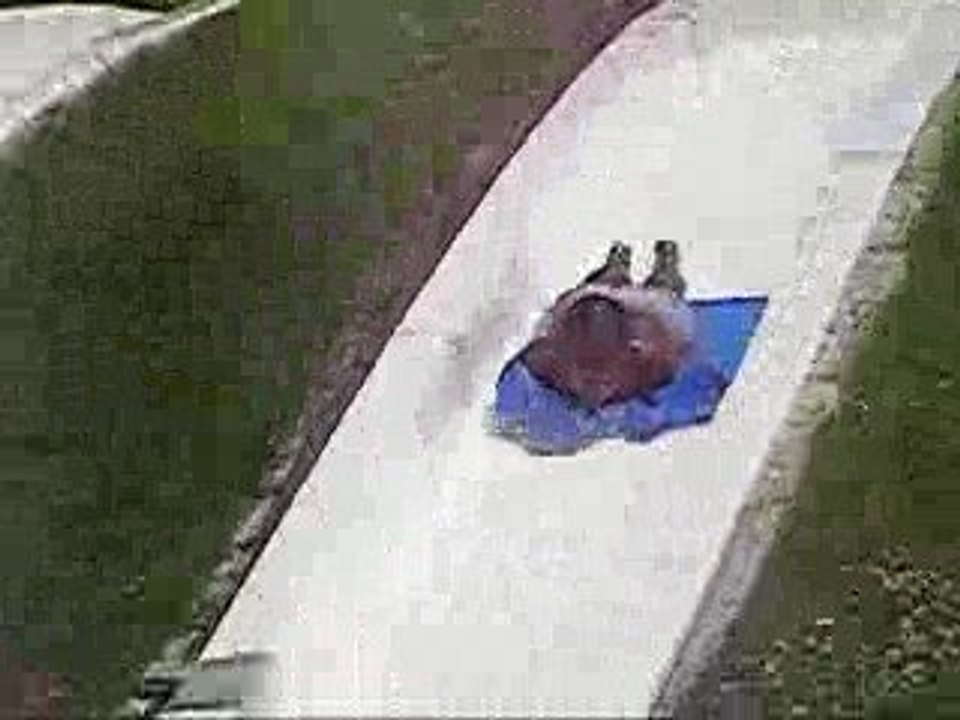 P'tit Toboggan...