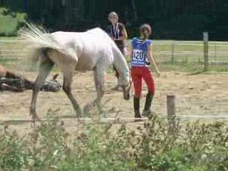 J'y vais, je  n'y  vais pas"