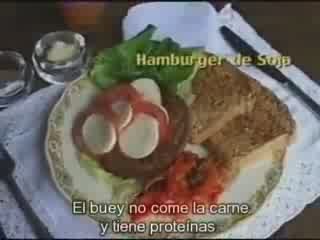 A carne é fraca / La carne es débil 5/5