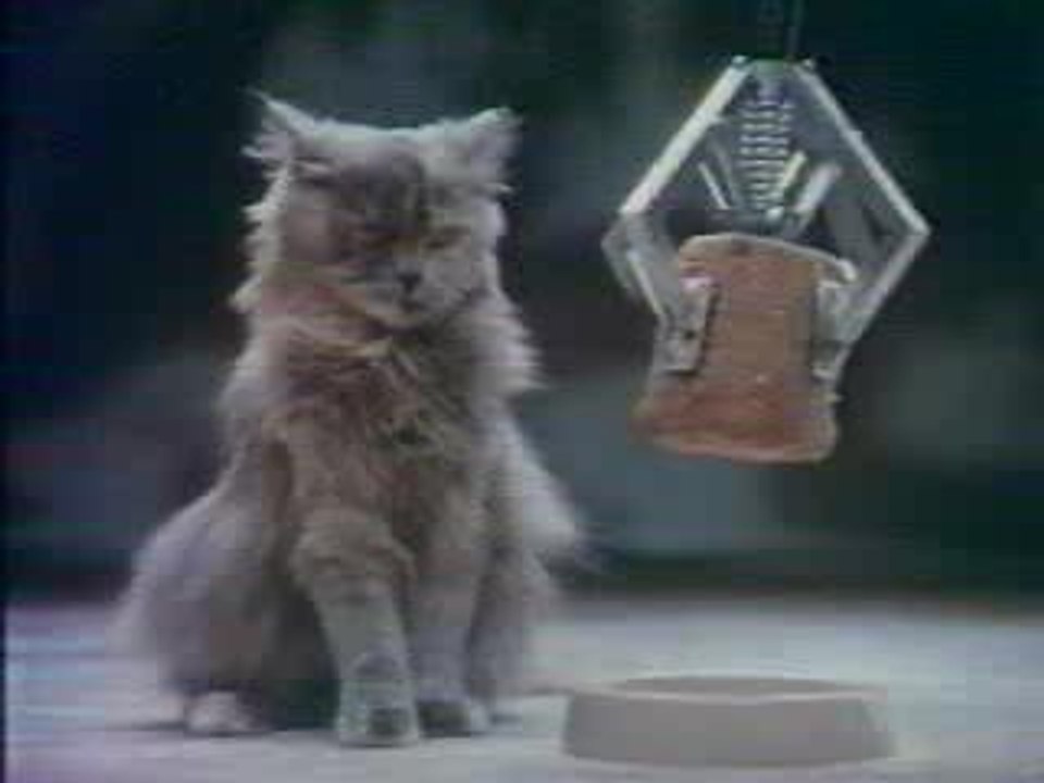 Le Coup de Pied au Cul